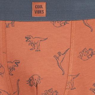 La Redoute Collections  5er-Pack Boxershorts 