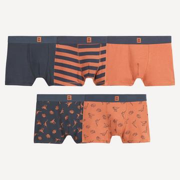 Lot de 5 boxers
