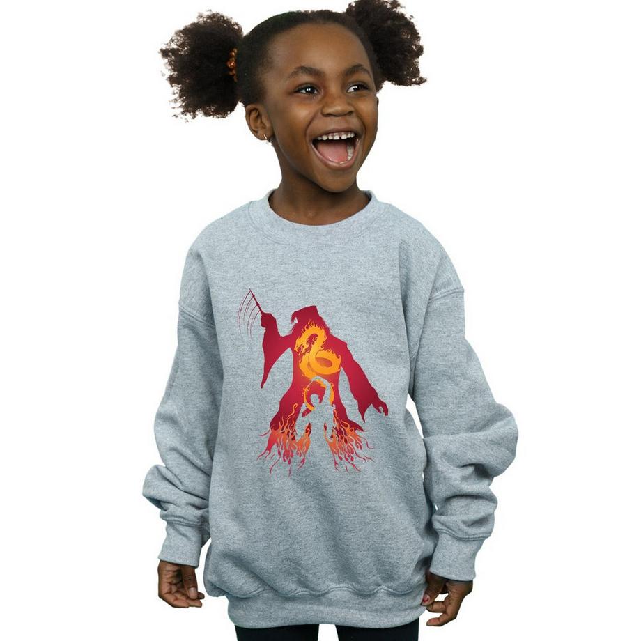 HARRY-POTTER  Sweatshirt 