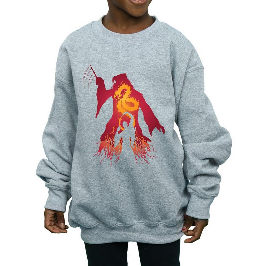 HARRY-POTTER  Sweatshirt 