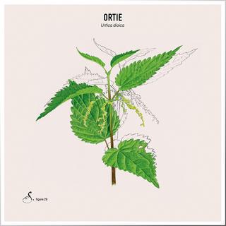 Sekoya Swiss  Brennnessel & Bambus | Stärkt Haare und Nägel 