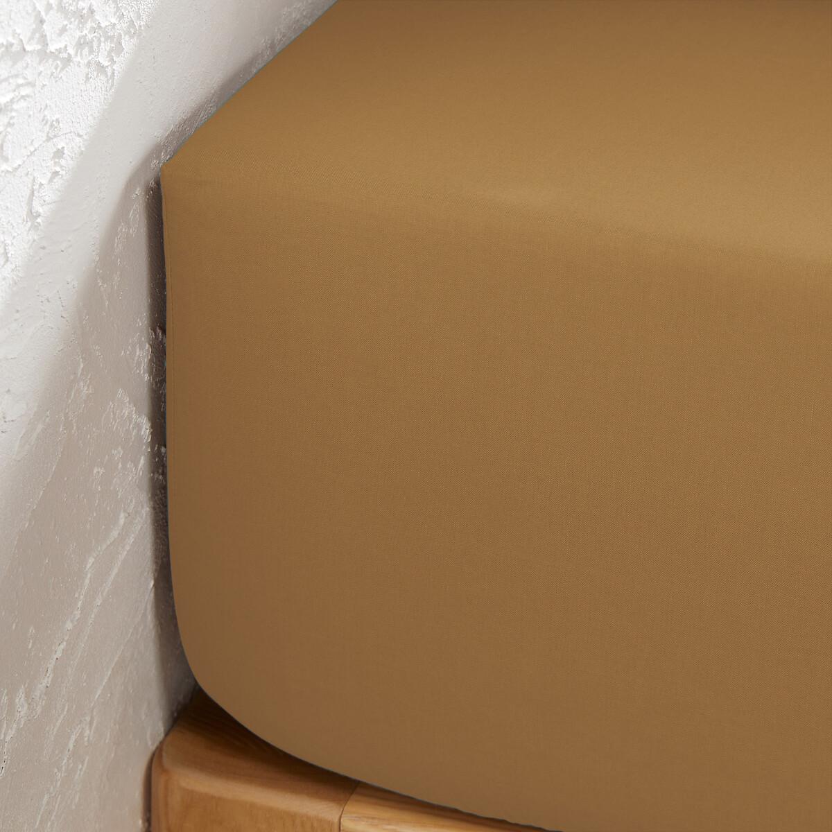 La Redoute Intérieurs Drap housse Scenario  