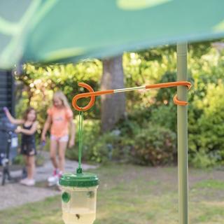 Pricenet  Zeltstangen-Aufhängehaken doppelseitig 26,5 cm 