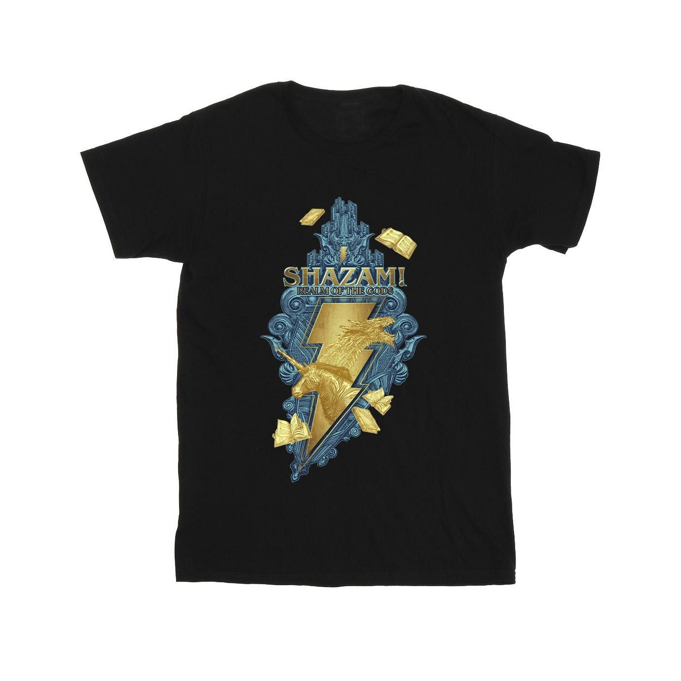 DC COMICS  Fury Of The Gods TShirt 