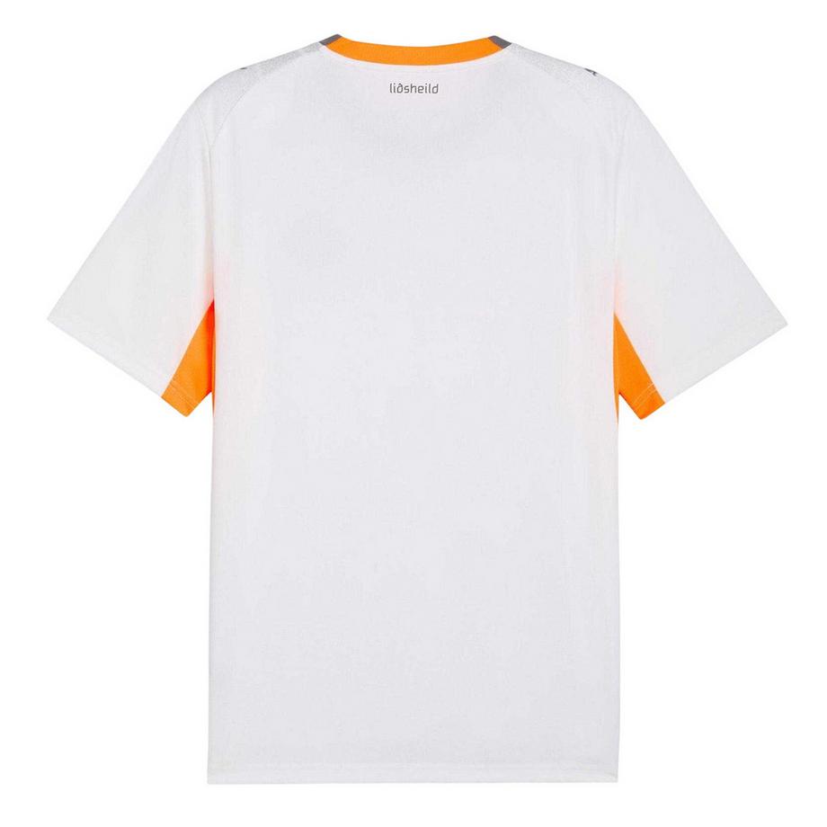 PUMA  World Cup 2026 Auswärtstrikot , Island 
