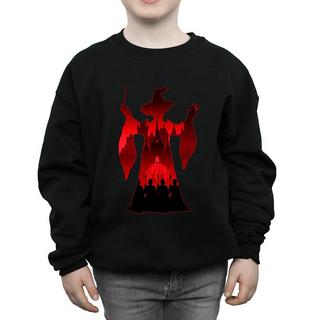 Harry Potter  Sweatshirt 