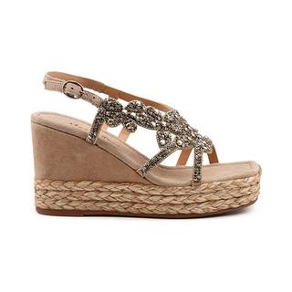 Alma En Pena  AP 513-42 