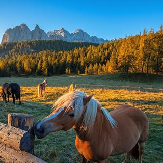 Smartbox  Vacanze nella natura: 2 notti con colazione ed escursione a cavallo - Cofanetto regalo 