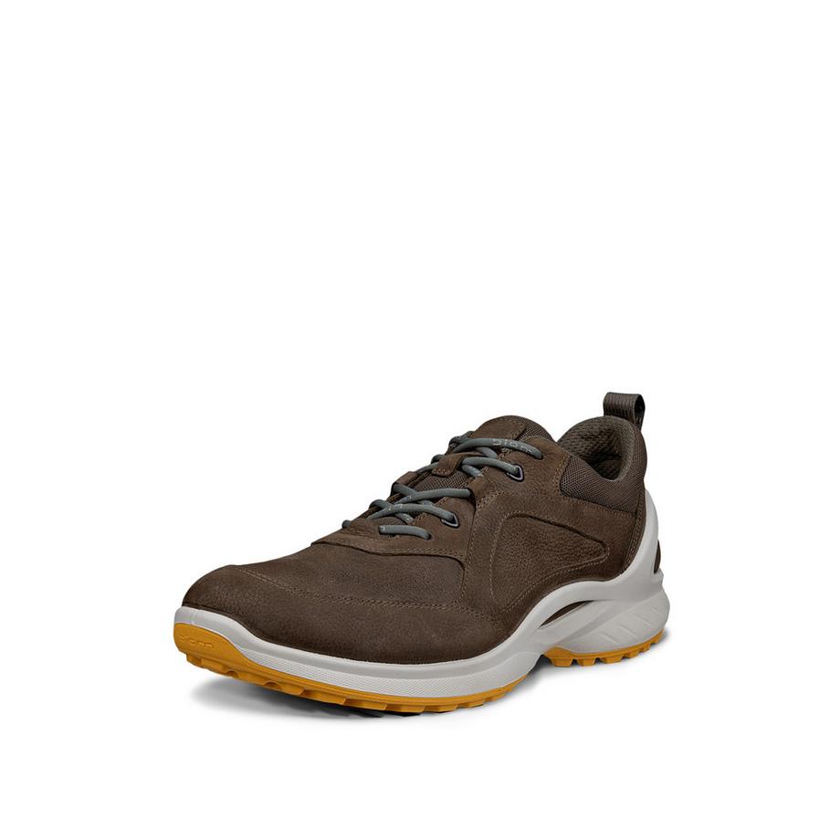 ecco Biom Energi Sneakers  