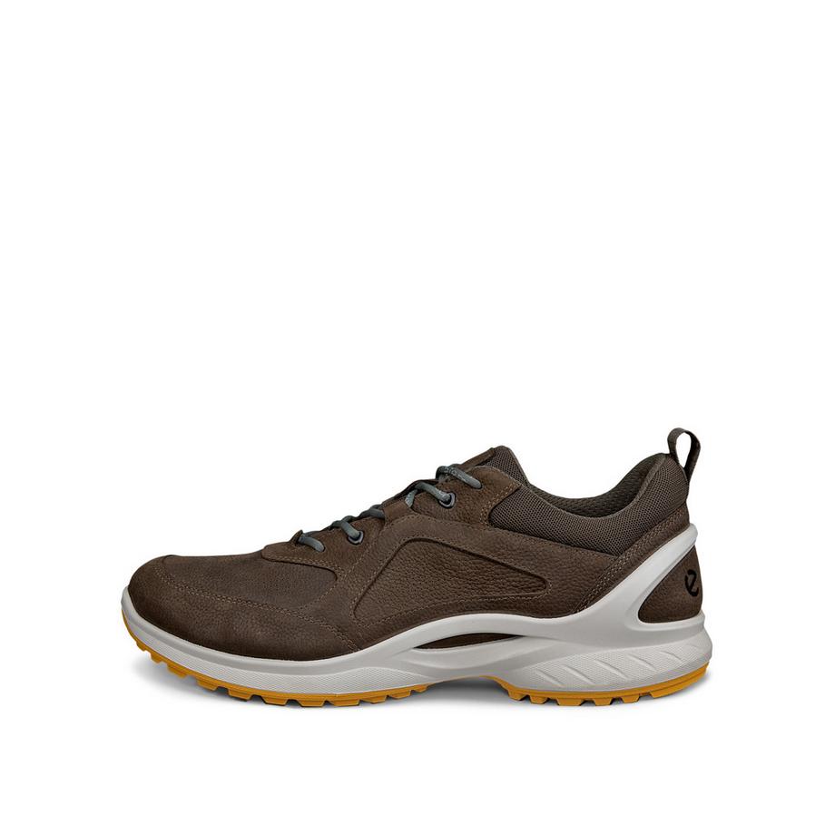 Sneakers biom energi