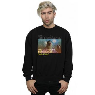 Harry Potter  Style Sweatshirt 