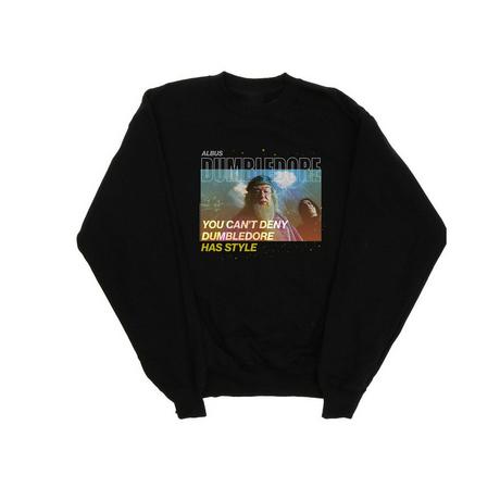 Harry Potter  Style Sweatshirt 