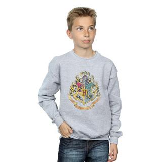 Harry Potter  Sweatshirt 