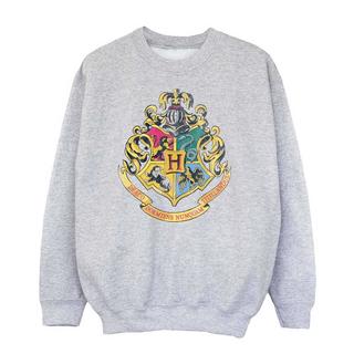 Harry Potter  Sweatshirt 