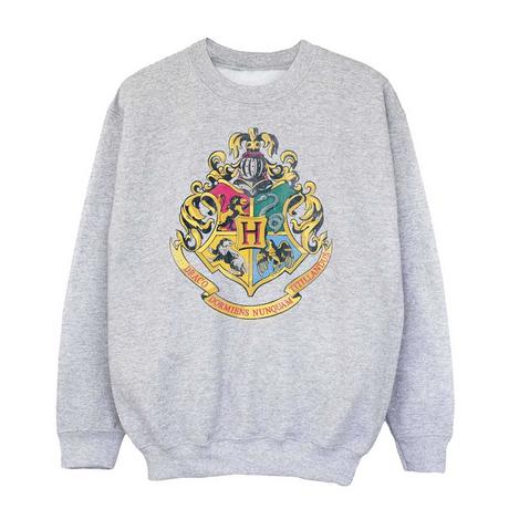 Harry Potter  Sweatshirt 