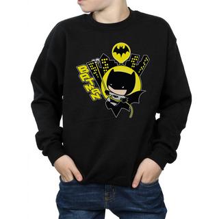 DC COMICS  Sweatshirt 