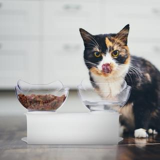 Northix  Stazione di alimentazione per gatti con ciotole 