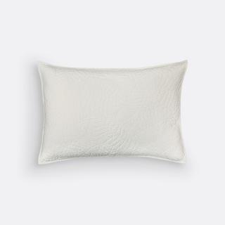 La Redoute Intérieurs Kissenbezug Tropical Baumwollperkal  