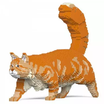 Orangene Maine Coon Katze