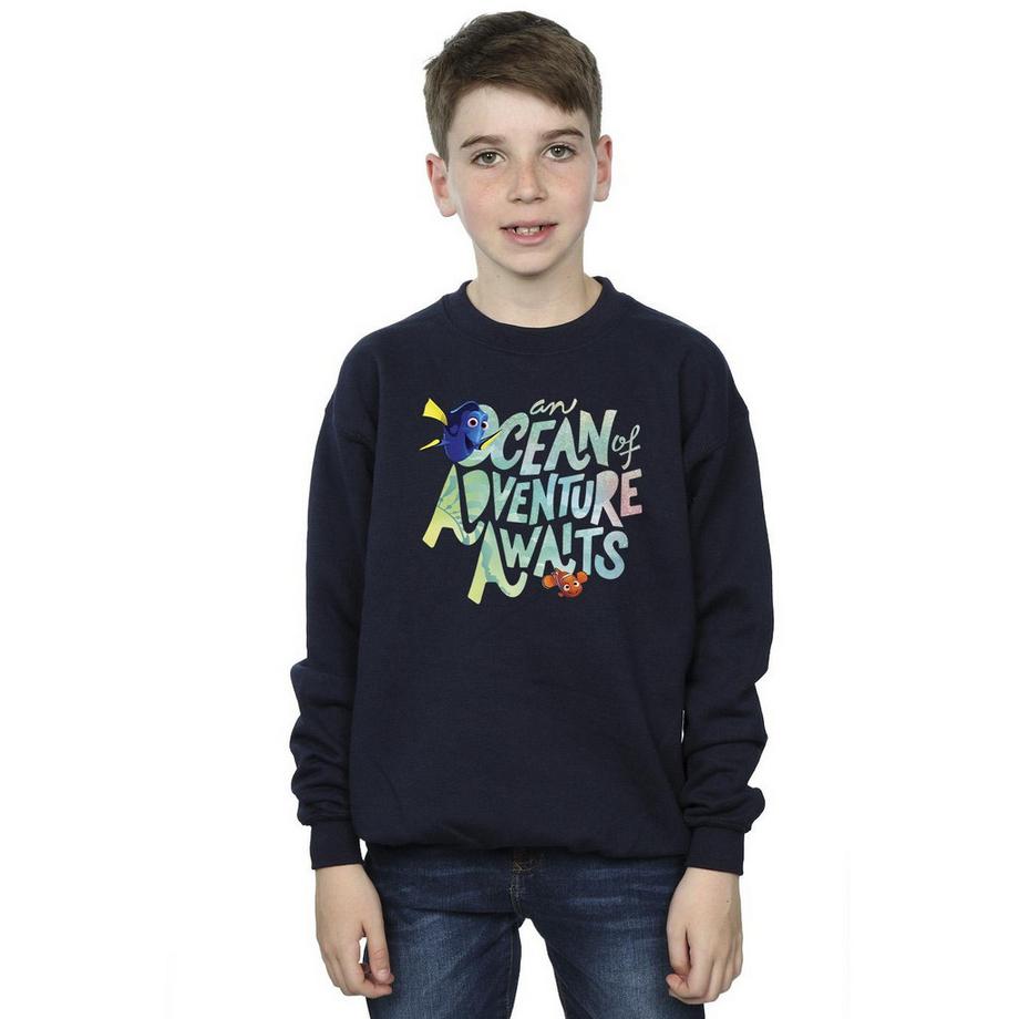 Disney  Finding Dory Ocean Of Adventure Sweatshirt 