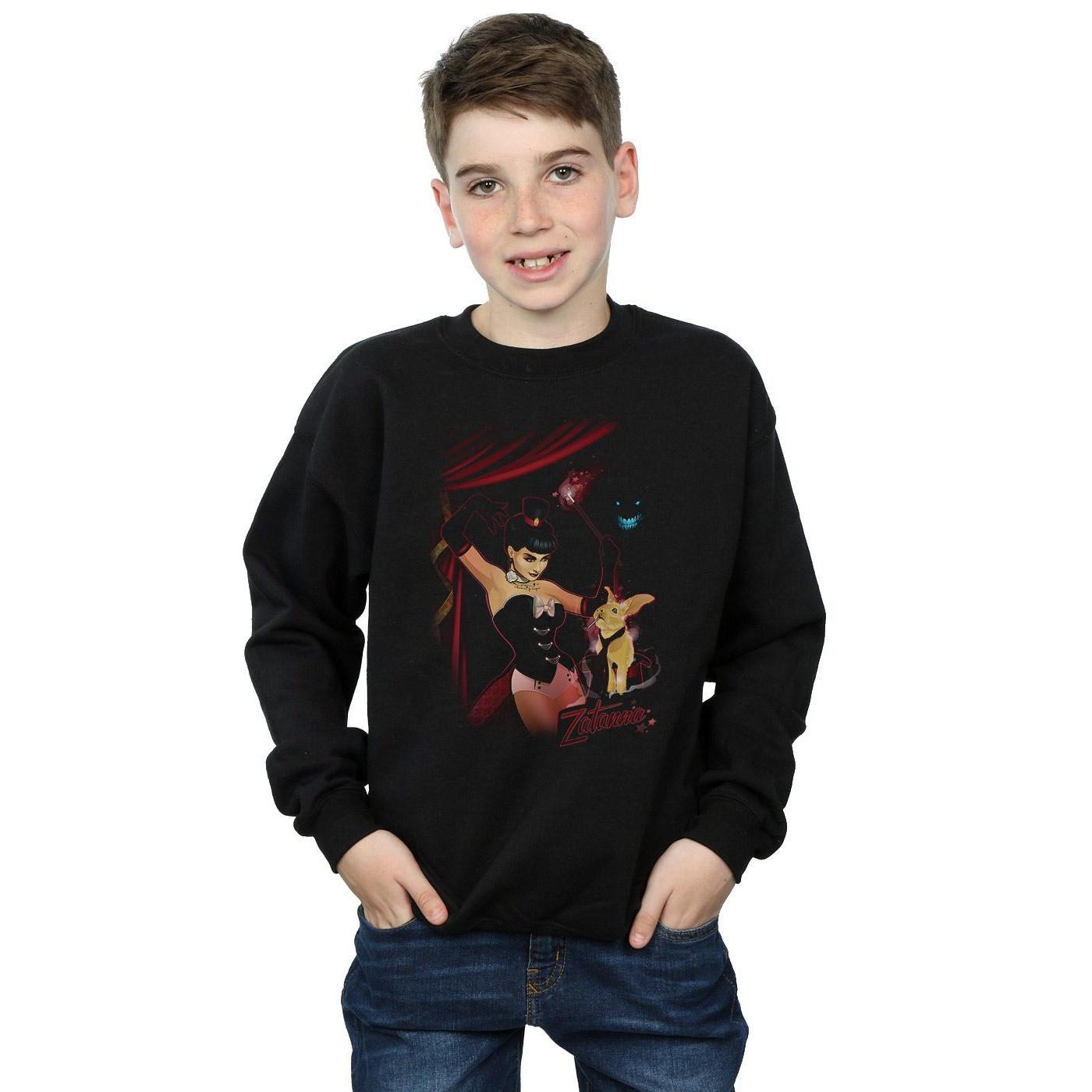 DC COMICS  Sweatshirt 