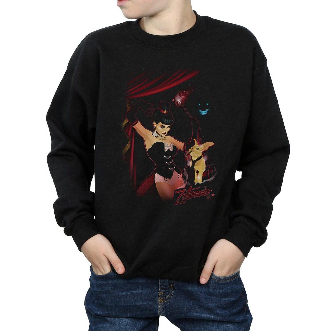 DC COMICS  Sweatshirt 