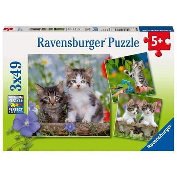 Puzzle Ravensburger Süße Samtpfötchen 3 X 49 Teile