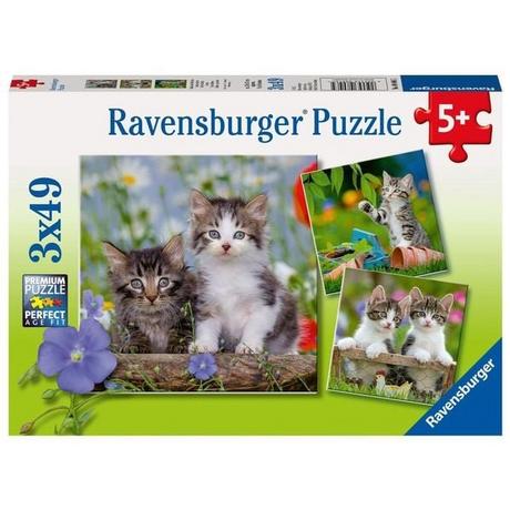 Ravensburger  Puzzle Ravensburger Süße Samtpfötchen 3 X 49 Teile 