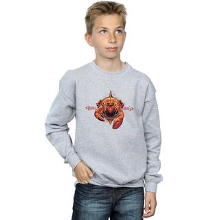 DC COMICS  Sweatshirt 