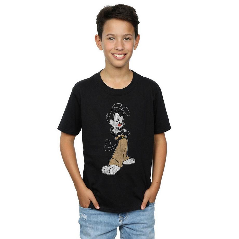 Animaniacs  Tshirt 