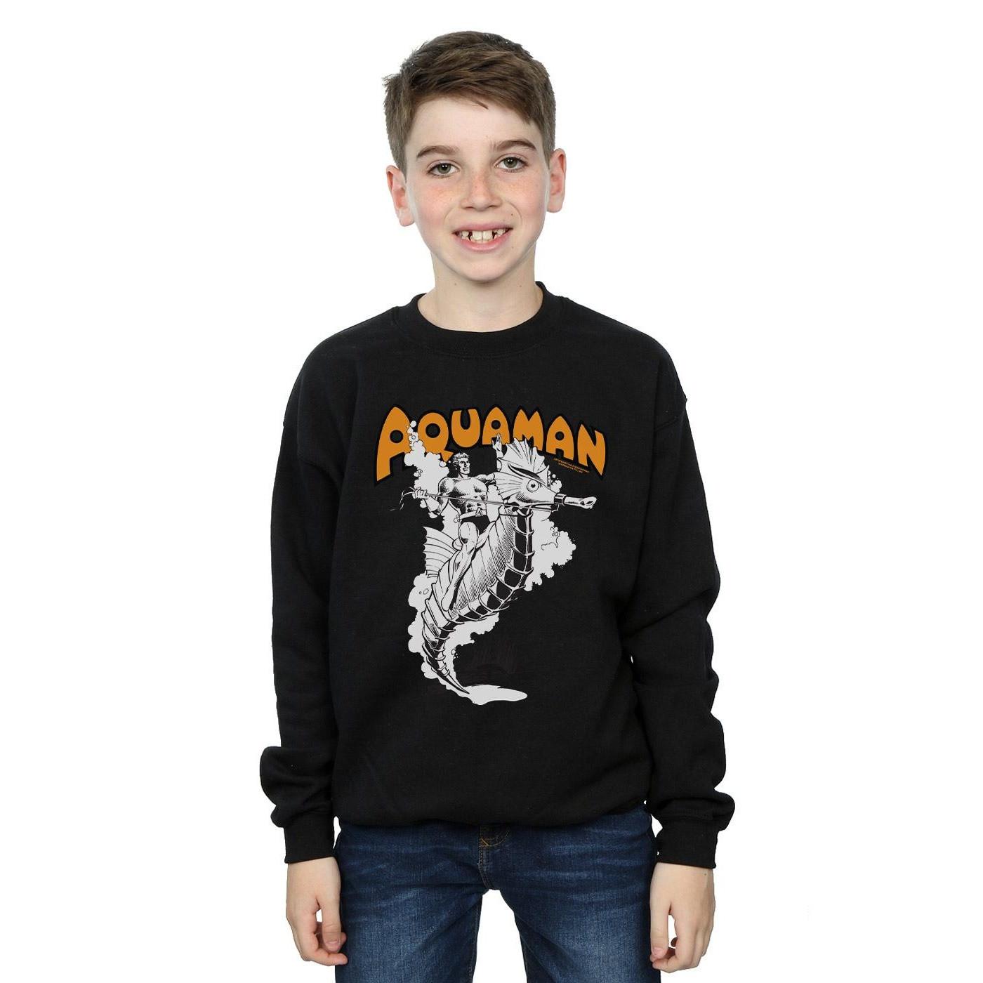 DC COMICS  Sweatshirt 