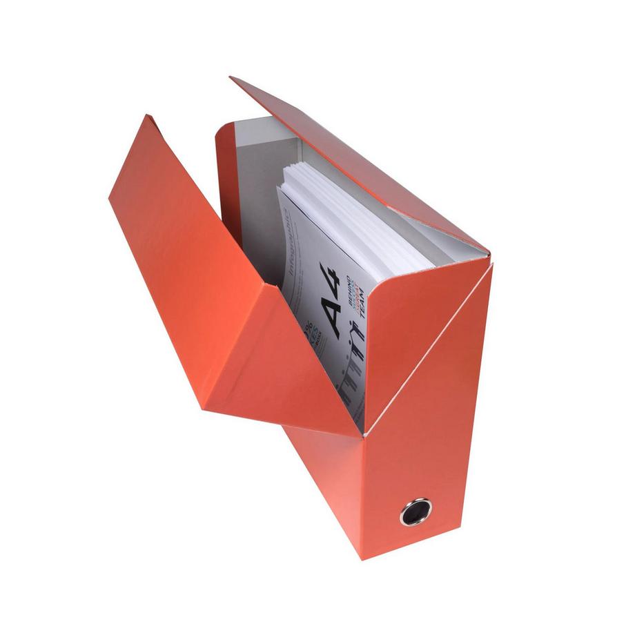 Exacompta Scatola per progetti dorso 90mm Iderama cartoncino - 25,5x34cm - x 5  