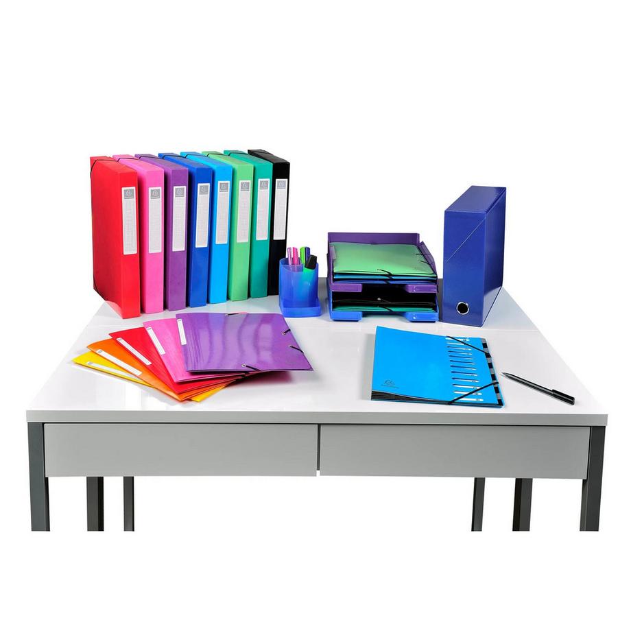 Exacompta Scatola per progetti dorso 90mm Iderama cartoncino - 25,5x34cm - x 5  