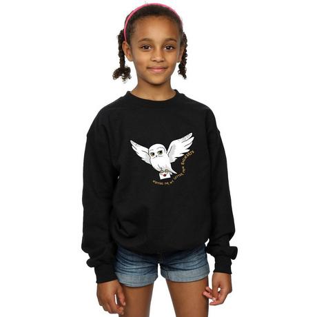 Harry Potter  Sweatshirt 