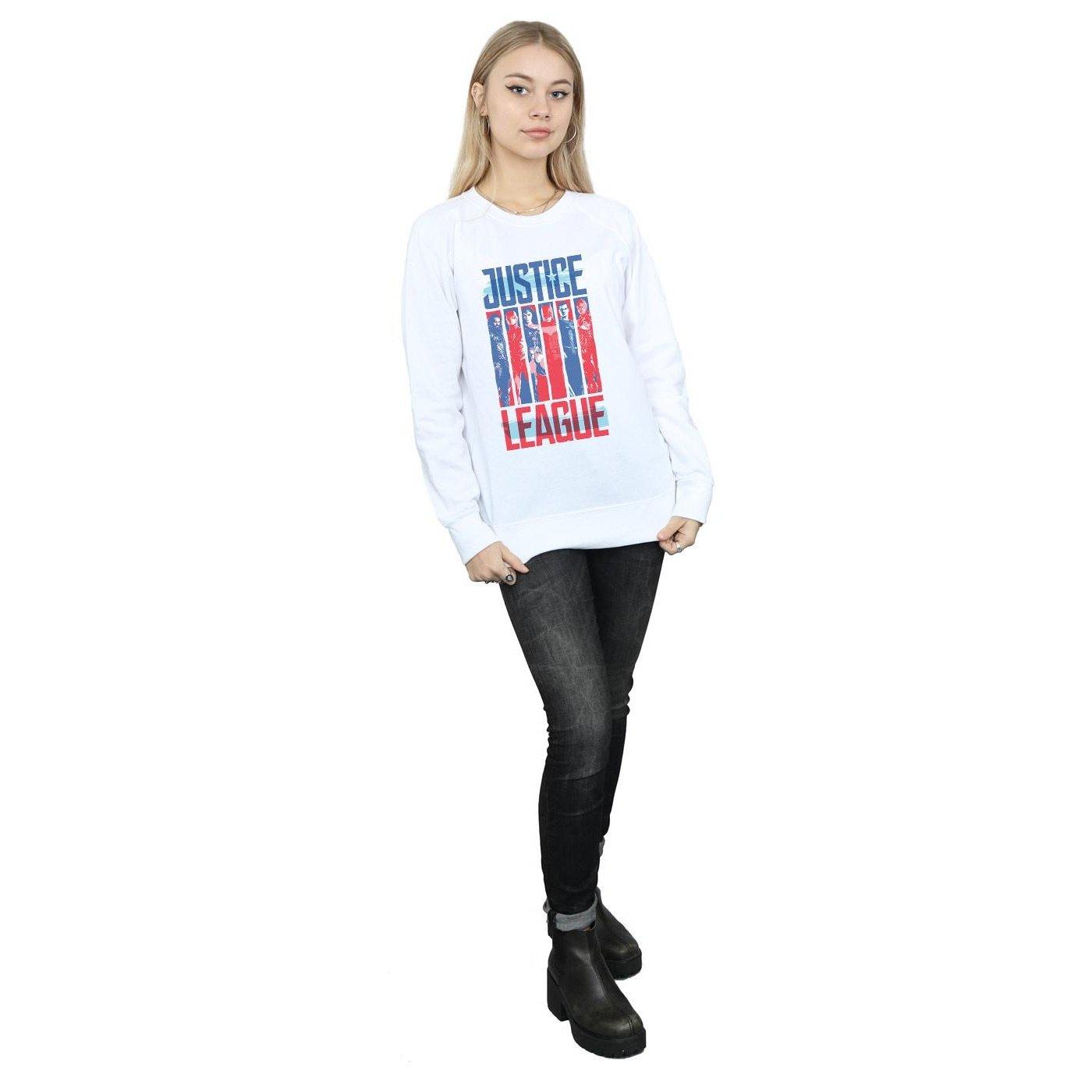 DC COMICS  Justice League Movie Team Flag Sweatshirt 