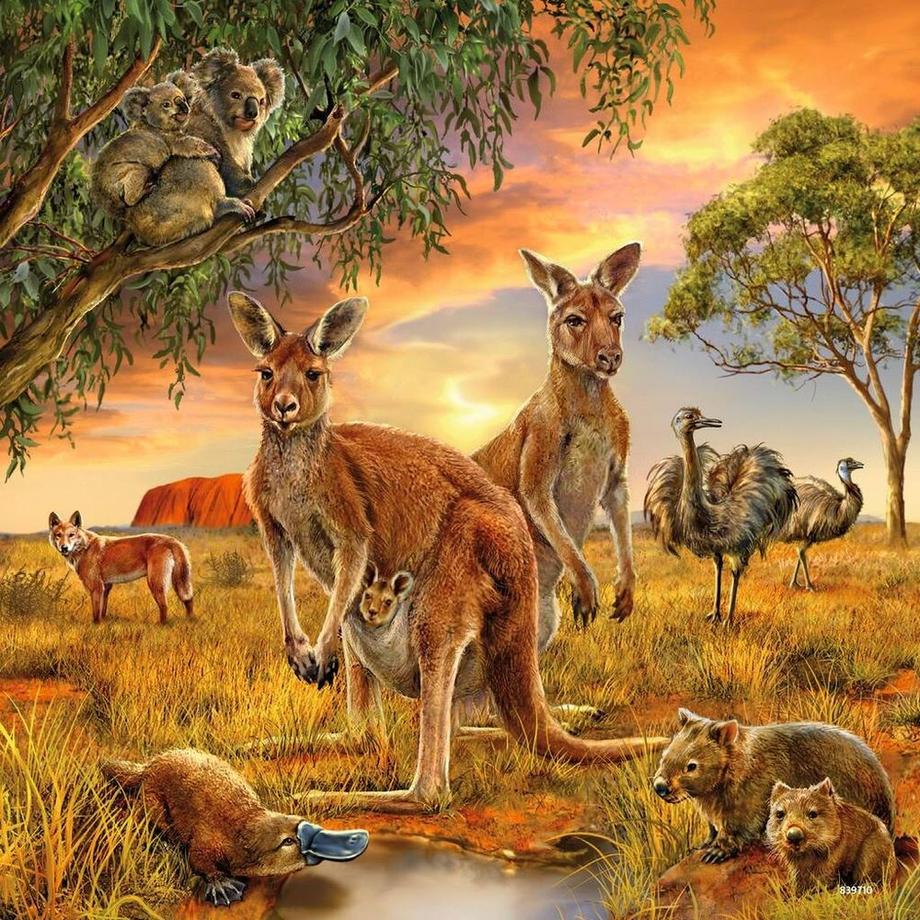 Ravensburger  Puzzle Tiere der Erde (3x49) 