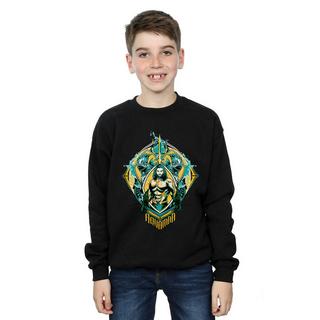 DC COMICS  Sweatshirt 