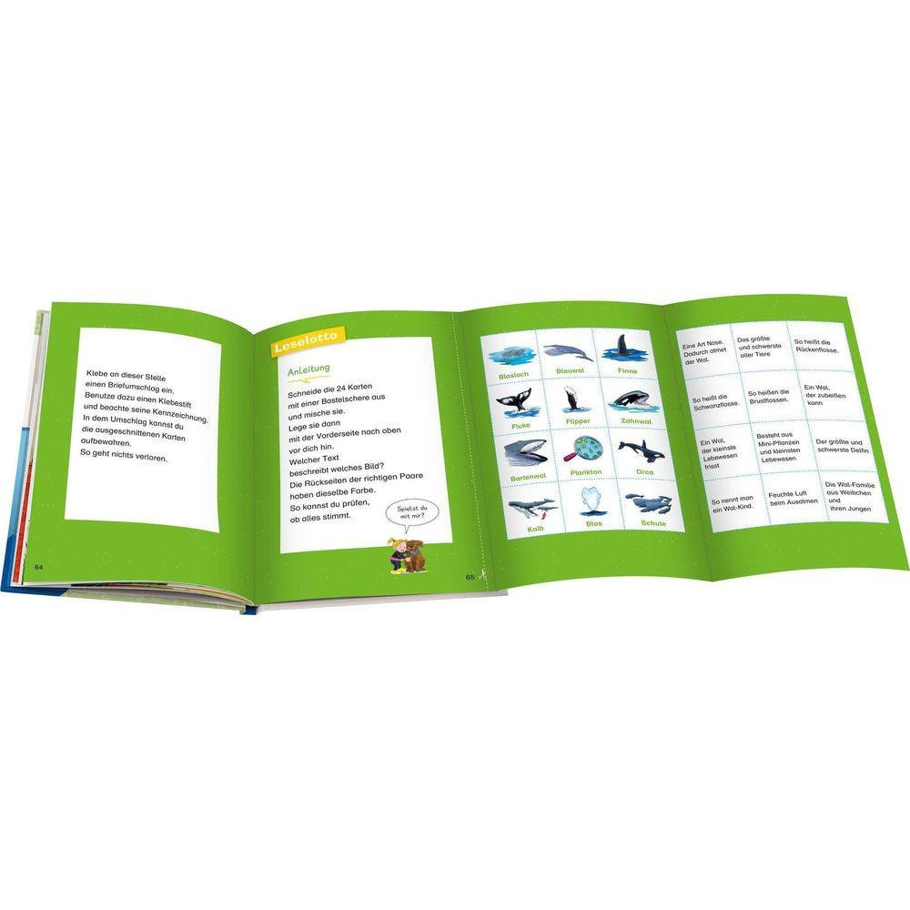 Wieso? Weshalb? Warum? Erstleser, Band 3: Wale und Delfine Noa, Sandra; Vohwinkel, Astrid (Illustrationen) Couverture rigide 