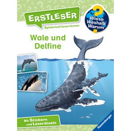 Wieso? Weshalb? Warum? Erstleser, Band 3: Wale und Delfine Noa, Sandra; Vohwinkel, Astrid (Illustrationen) Couverture rigide 