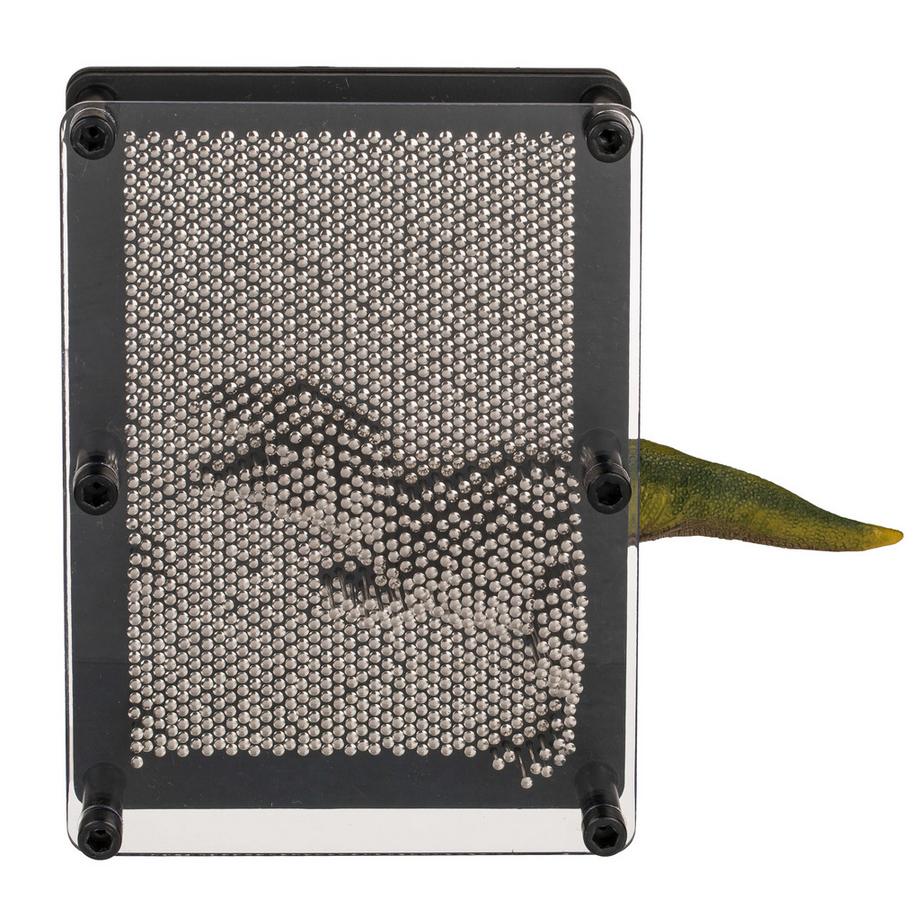 Pinpression jeu de clous 19 x 14 cm