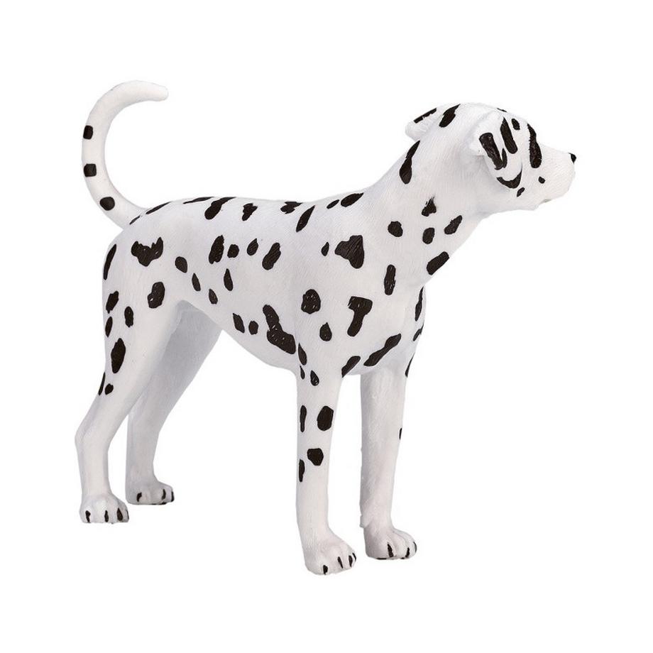 Mojo  Farmland Dalmatiner 