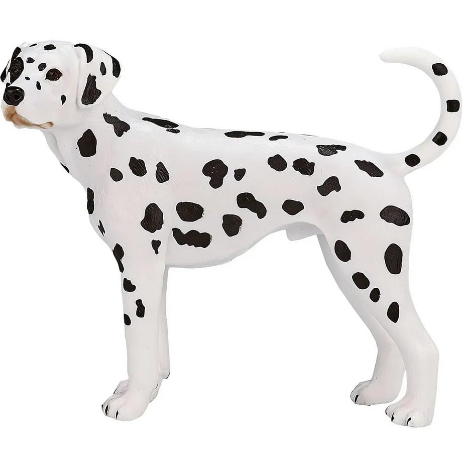 Mojo  Farmland Dalmatiner 