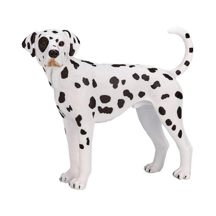 Mojo  Farmland Dalmatiner 