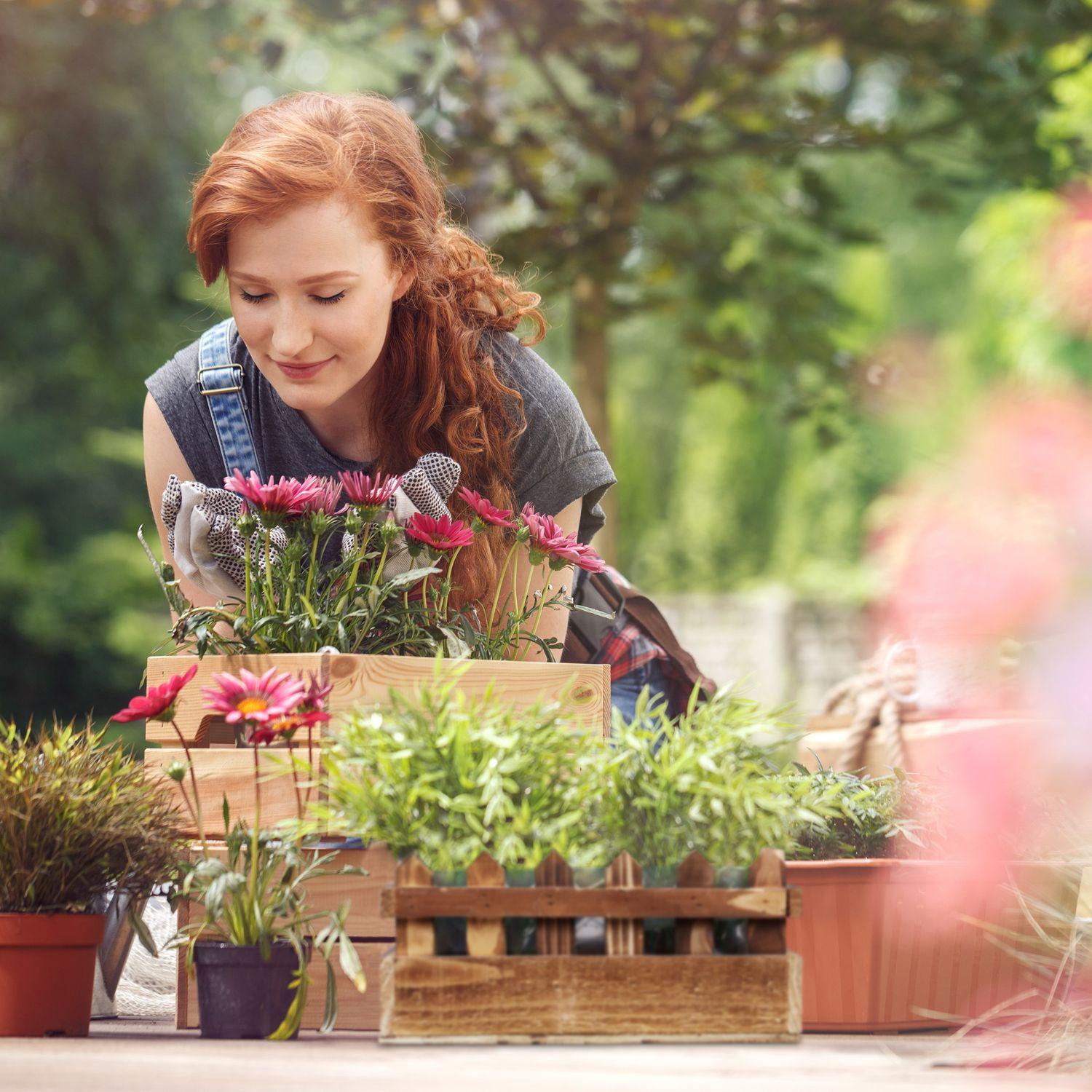 Northix Pots de fleurs avec clôture décorative  