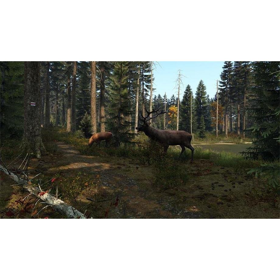 Sold out Marketing  DayZ 