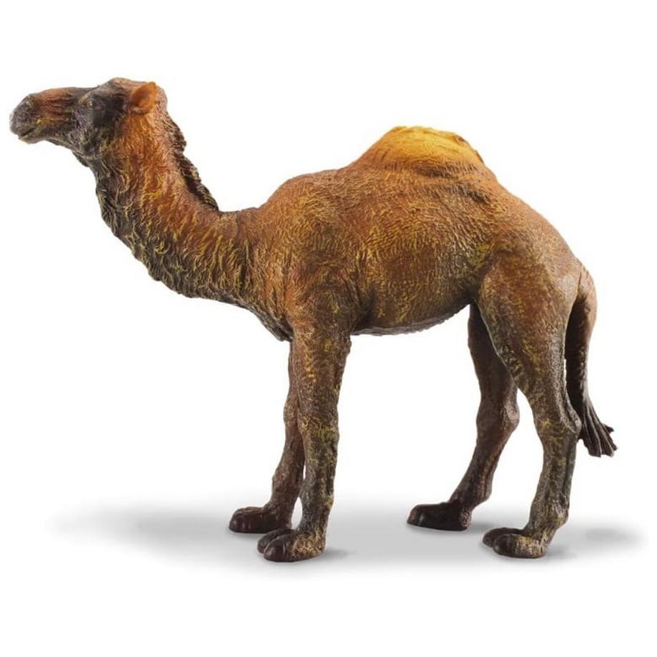 CollectA  Wild Life Dromedar 
