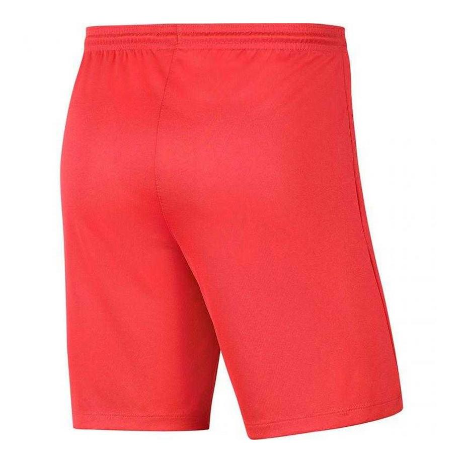 NIKE  Short Dry Park 