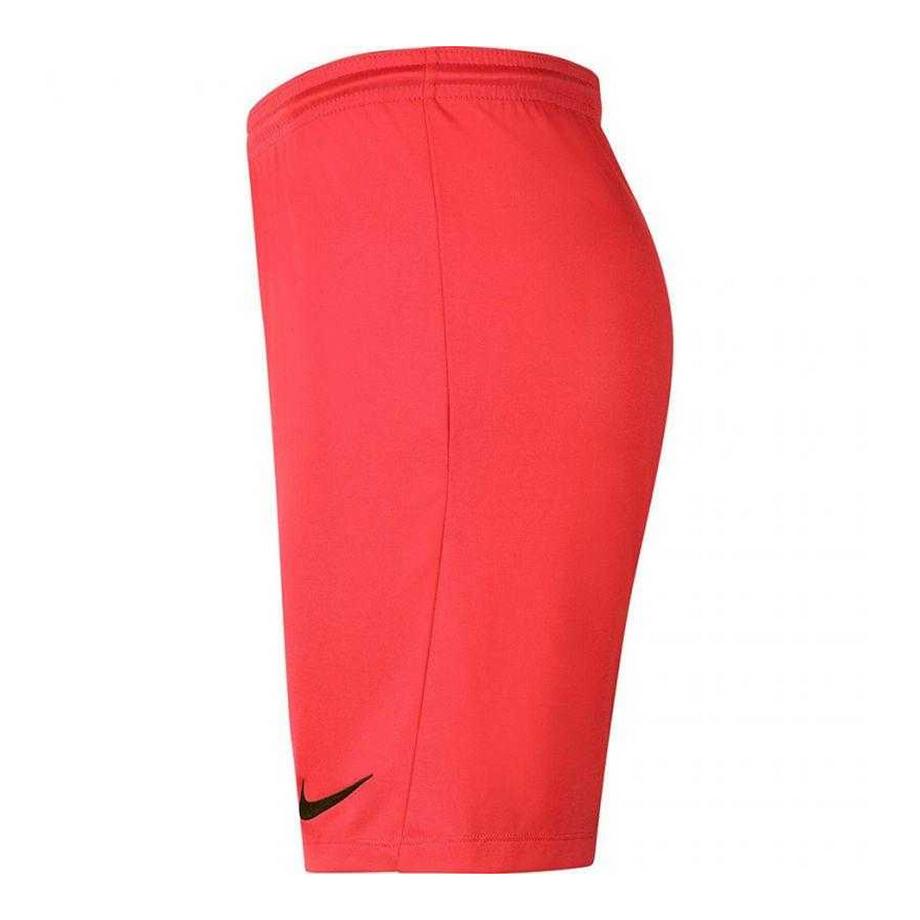 NIKE  Short Dry Park 