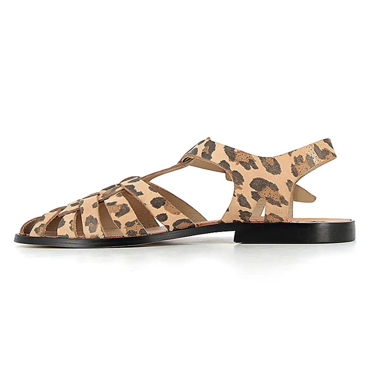 Méduse  Sunville-39 