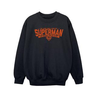 DC COMICS  Sweatshirt 
